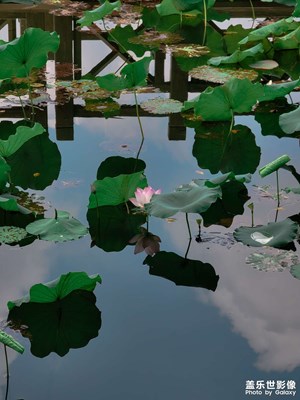 萊卡經(jīng)典～