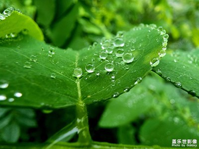 三星Galaxy S22Ultra 拍攝「衡水湖隨拍」