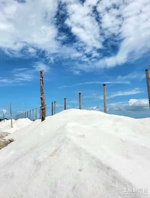 鶯歌海鹽場(chǎng)