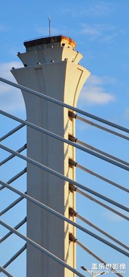 橋！    (大部分十倍長焦拍攝)  真的很清晰！