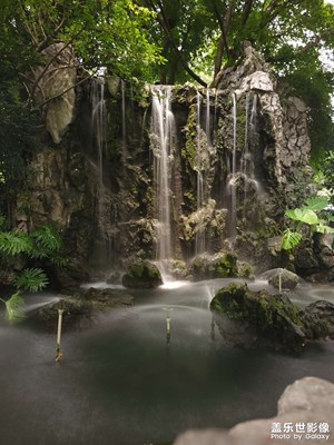 【夏日好時(shí)光】水，花，魚(yú)