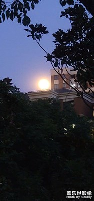 【夏日好時光】+夜風(fēng)