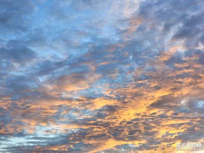 今日照片   調(diào)色