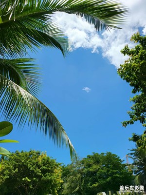 三亞的白天黑夜