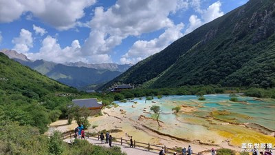 滿地盡帶黃金甲