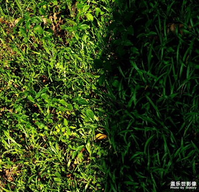 明暗對比還有一些光影