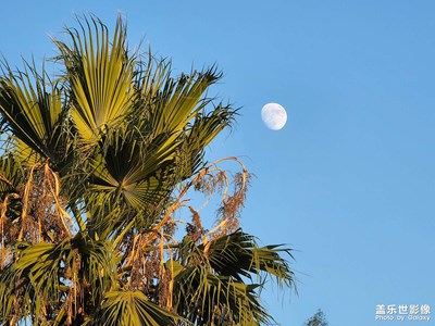 一個人的拍拍拍