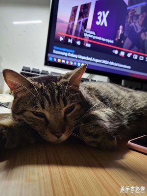 【唯愛七夕】看三星新品發(fā)布會(huì)