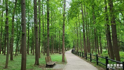 【帶著手機(jī)去旅行】雨后共青森林公園