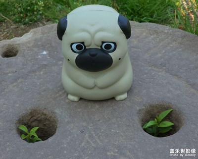 【帶著手機(jī)去旅行】巴扎黑的煩惱