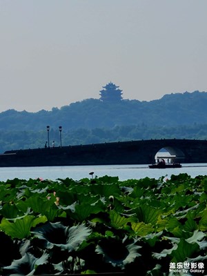 還要再熱10天！