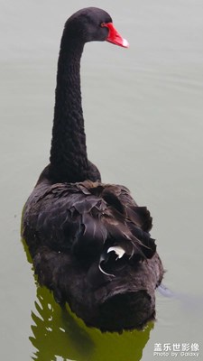 S22u記錄，北京海淀