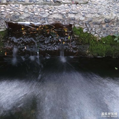 【帶著手機(jī)去旅行】+活水公園