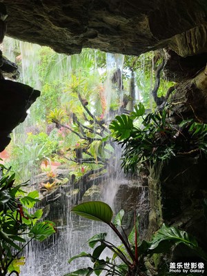 【與美好相逢】雨林奇境