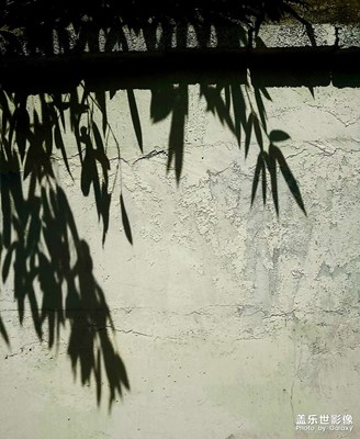 【與美好相逢】+光&影