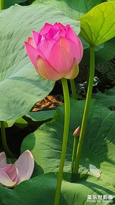 夏季以過(guò)去