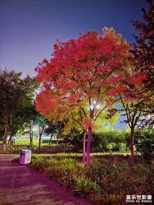 【與美好相逢】+ 夜景

