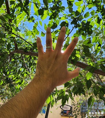 今日照片   社區(qū)