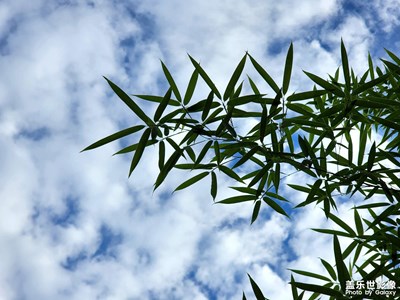 【早秋】天之藍