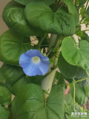 隨拍照片分享，看看怎么樣