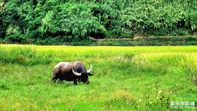 【場景小拍】+日常隨拍