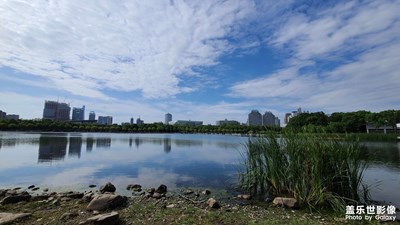 【美在身邊】世紀(jì)公園