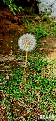 好喜歡那個夏天的傍晚