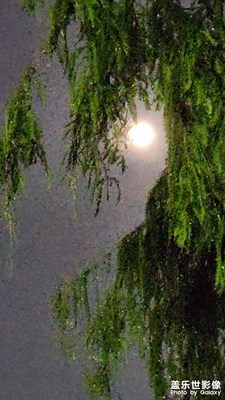 八月十五月亮圓