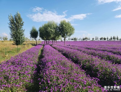 【美在身邊】+ 嫻試秋容