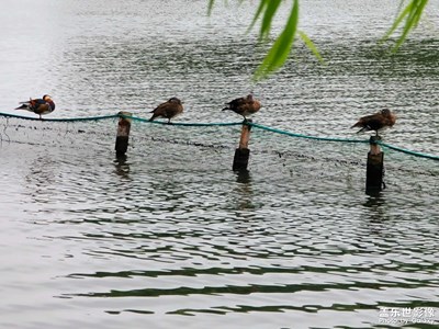 臺風(fēng)來之前的西湖