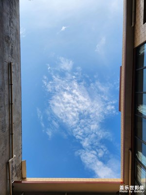 【秋日麗影】+秋葉色彩