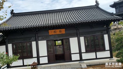 【你眼里的風(fēng)景】意外之喜