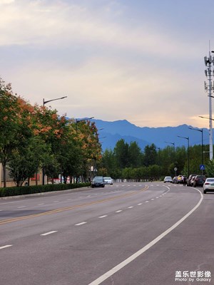 【假日隨拍】+ 南郊公園