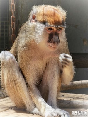 【我的小長(zhǎng)假】踏秋出游