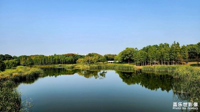 【我的小長假】+貢湖灣濕地公園打卡