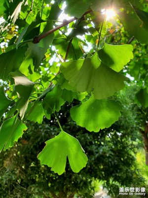 【我的小長假】公園逛逛