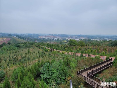 【我的小長假】+鶴壁中山公園