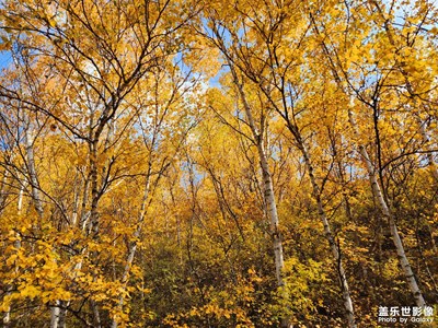 【我的小長(zhǎng)假】秋日山林