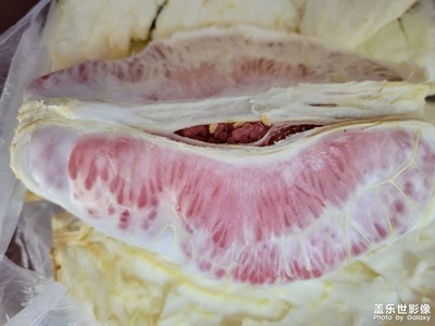 【我的小長假】平平淡淡