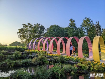 【假日隨拍】+?公園野趣