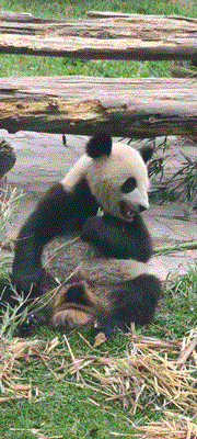 阿壩州代表作？一波存貨的回憶！