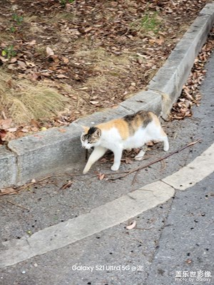【假日隨拍】氣溫驟降，陰雨綿綿