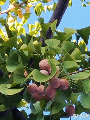 【我的小長(zhǎng)假】+走走拍拍