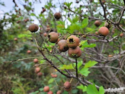 【我的小長假】+ 國慶快樂