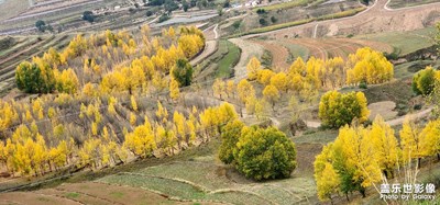 人相信自己是什么，自己就是什么