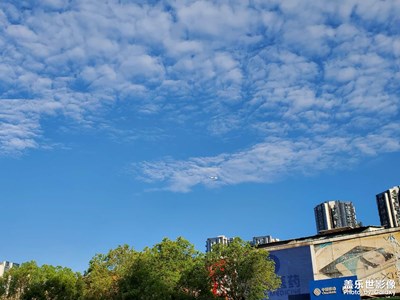 清晨藍(lán)天下的飛機(jī)