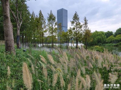 【假日隨拍】+ 公園隨拍