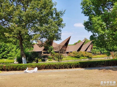 【我的小長(zhǎng)假】+包場(chǎng)游玩鄭和公園