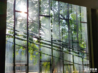 上天不會辜負(fù)每一個早起的人