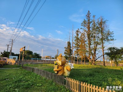 【秋意正濃】+公園隨手拍